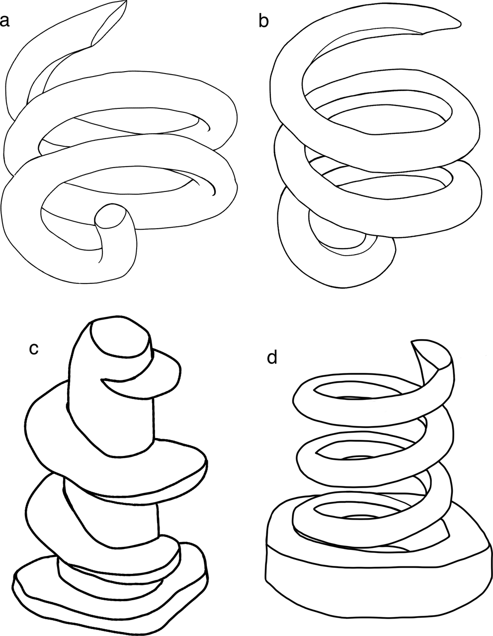 10029 2025 3276 fig1 html hernia talk
